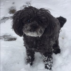 Meet your Posher, Lori